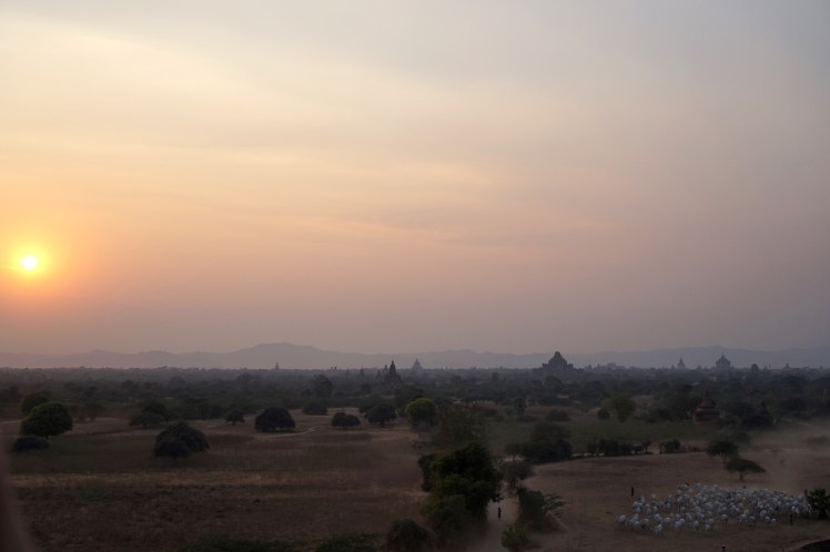Bagan4.JPG
