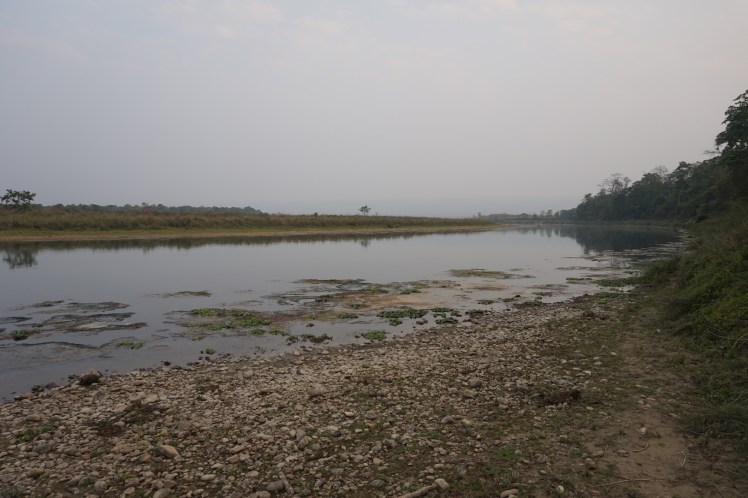 Chitwan29