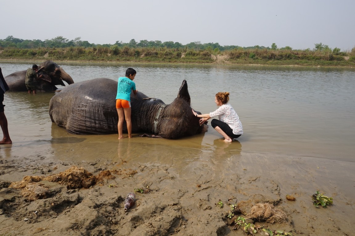 Chitwan57