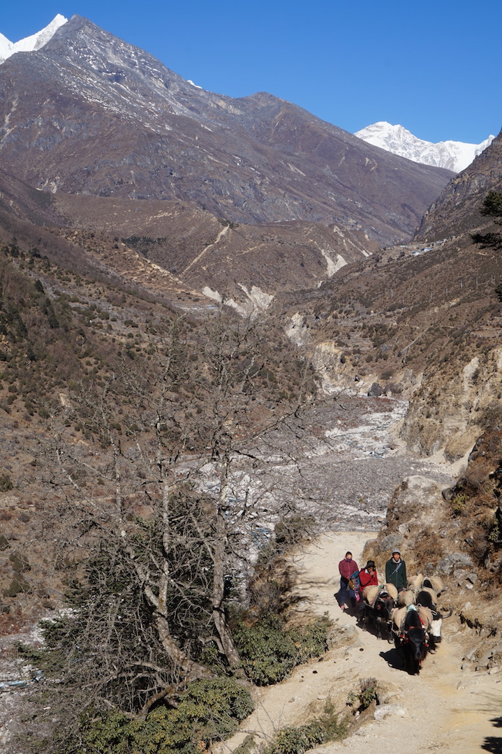 Namche-Thame-Namche12