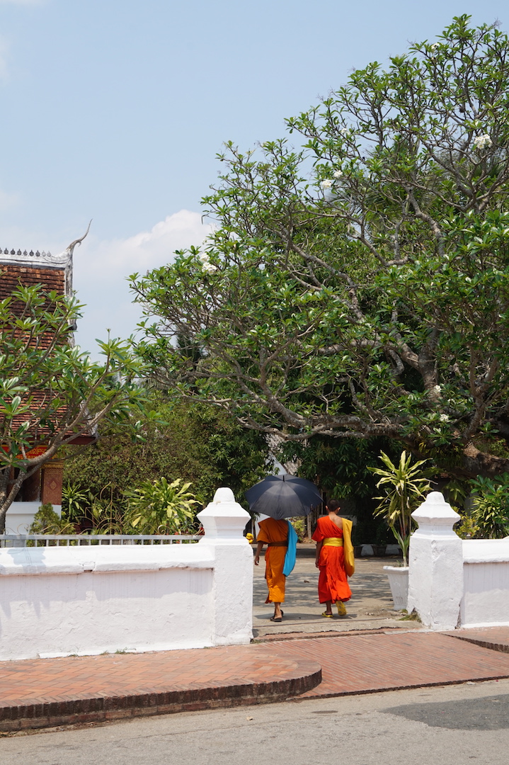 LuangPrabang115