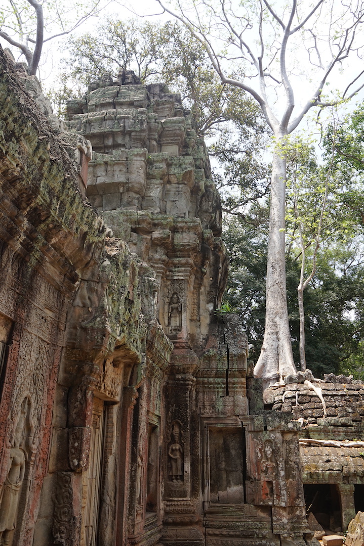SiemReap-Angkor2