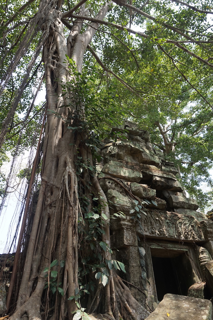 SiemReap-Angkor7