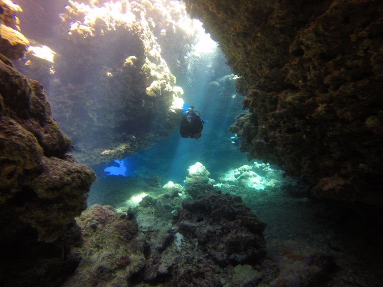 DCIM100GOPROGOPR1511.