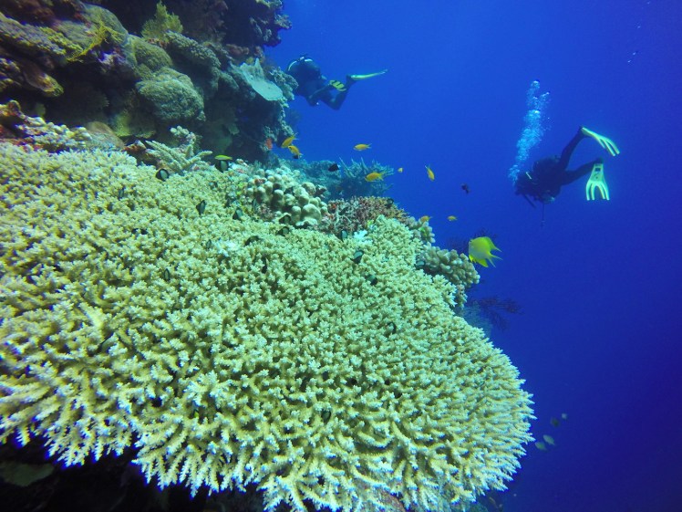 DCIM100GOPROGOPR1411.