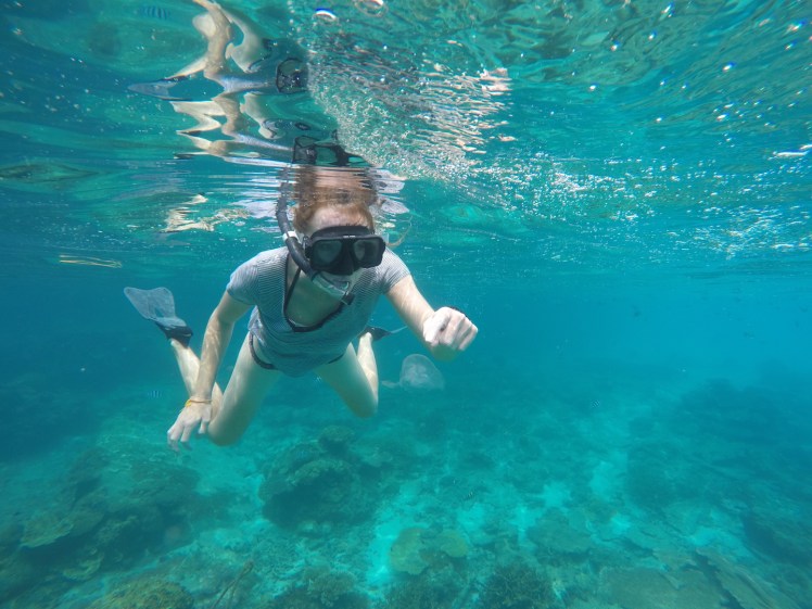 DCIM100GOPROGOPR1045.