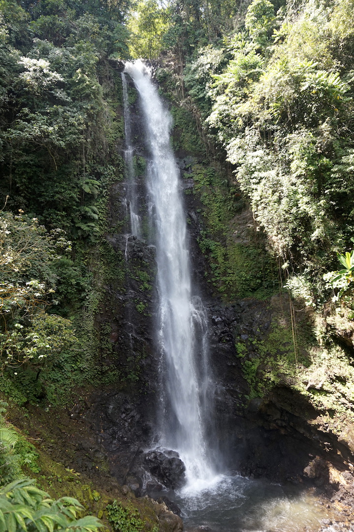 Pancasari-Munduk-Jatiluwih30