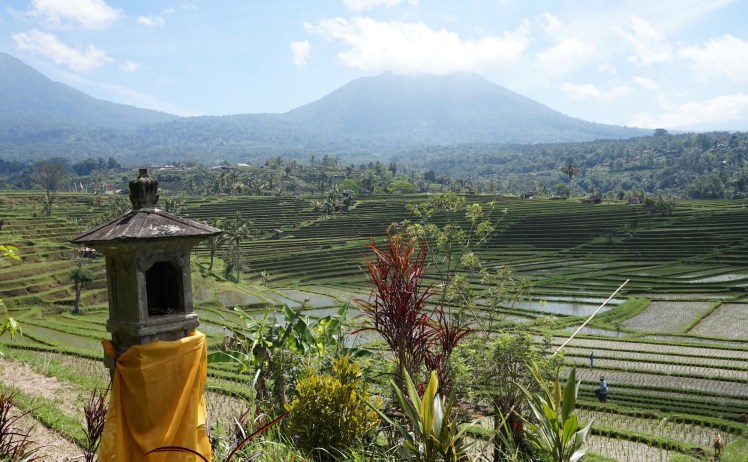 Pancasari-Munduk-Jatiluwih46