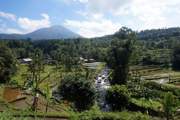 Pancasari-Munduk-Jatiluwih62