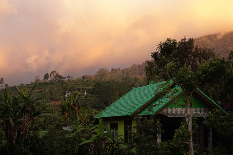 Pancasari-Munduk-Jatiluwih73