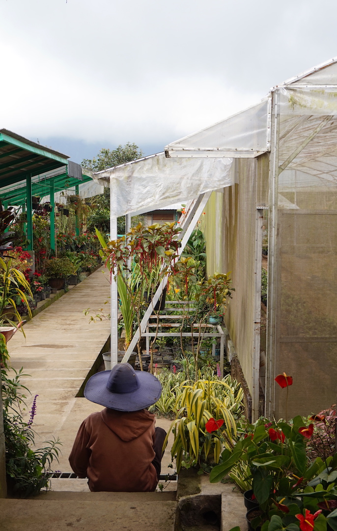 Pancasari-Munduk-Jatiluwih78