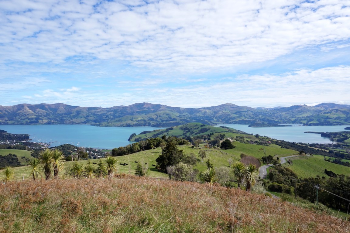 Akaroa19