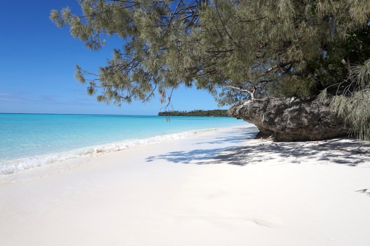 Lifou19