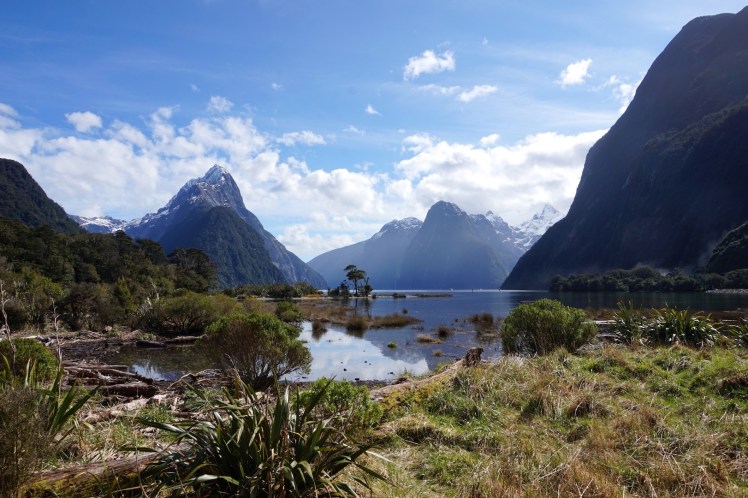 Milford Sound19