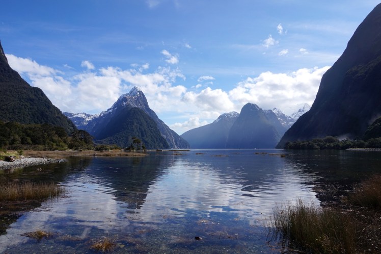 Milford Sound22