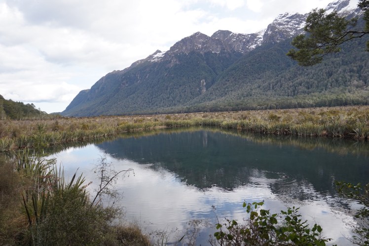Milford Sound4