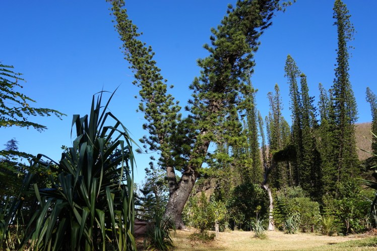 (Nouméa) à Poé21