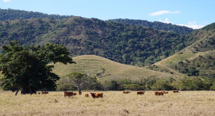 (Nouméa) à Poé5