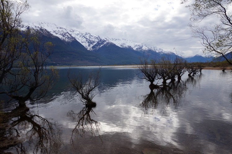 Queenstown-Glenorchy7