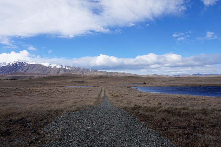 Région Mont Cook48