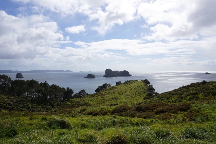 Coromandel15