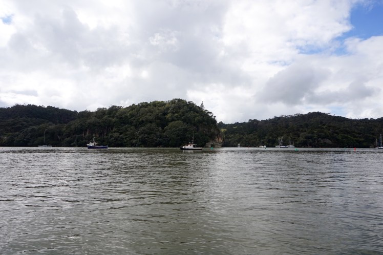 Coromandel28
