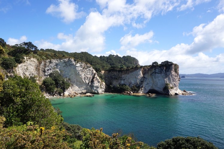 Coromandel5