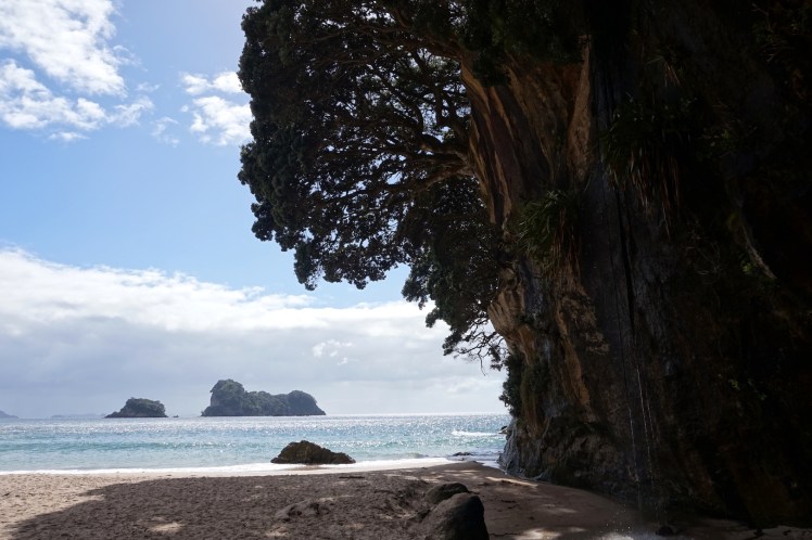 Coromandel6