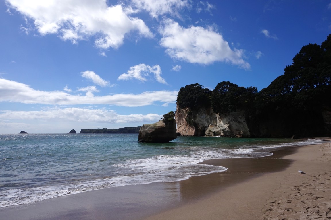 Coromandel9