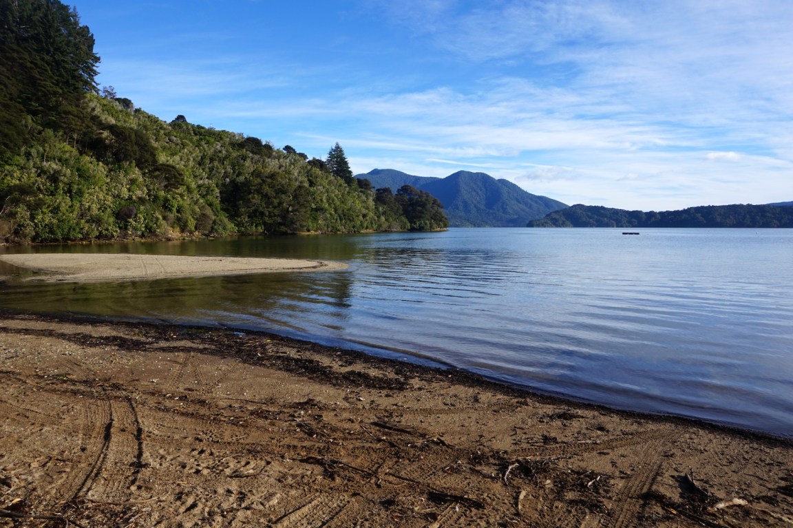 Quennes Charlotte Track8