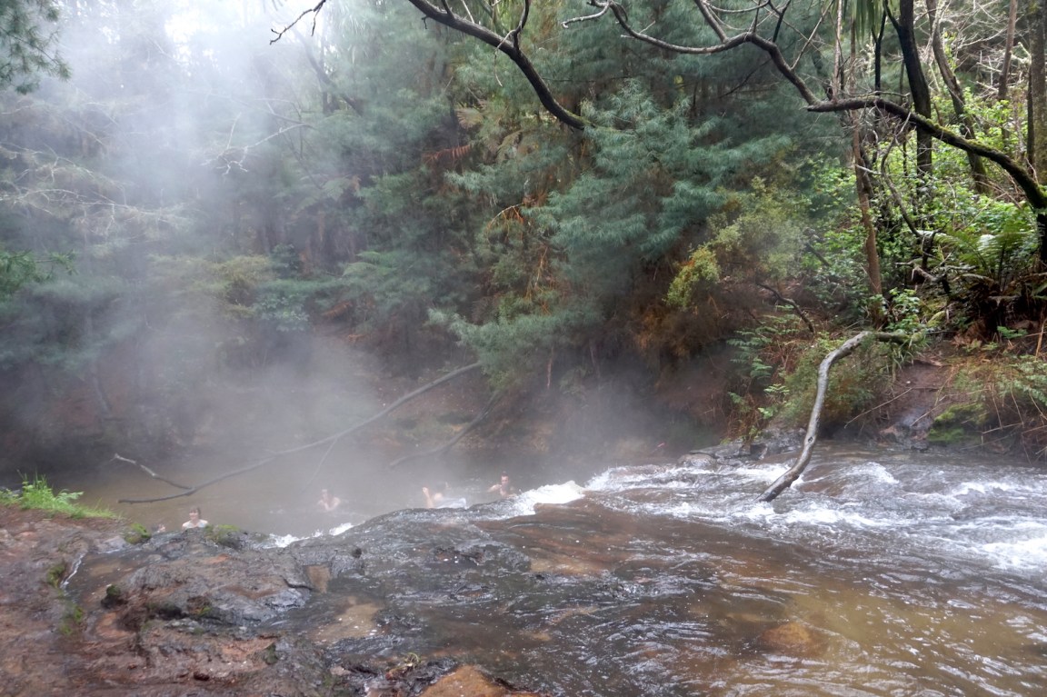 Rotorua6