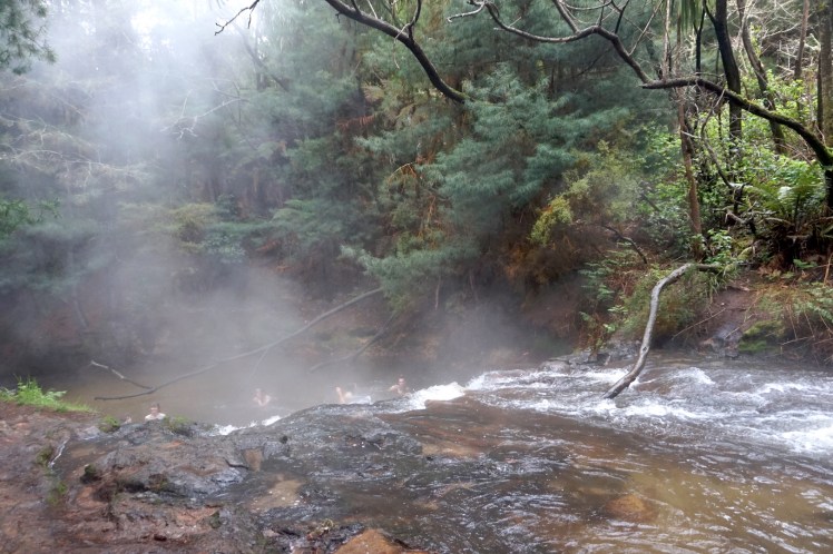 Rotorua6