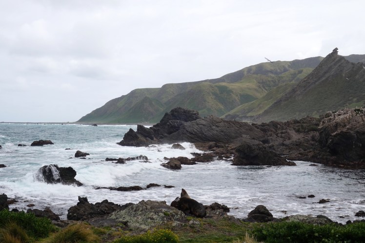 Sur la route de Cap Palliser28