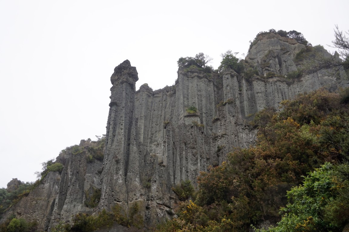 Sur la route de Cap Palliser38