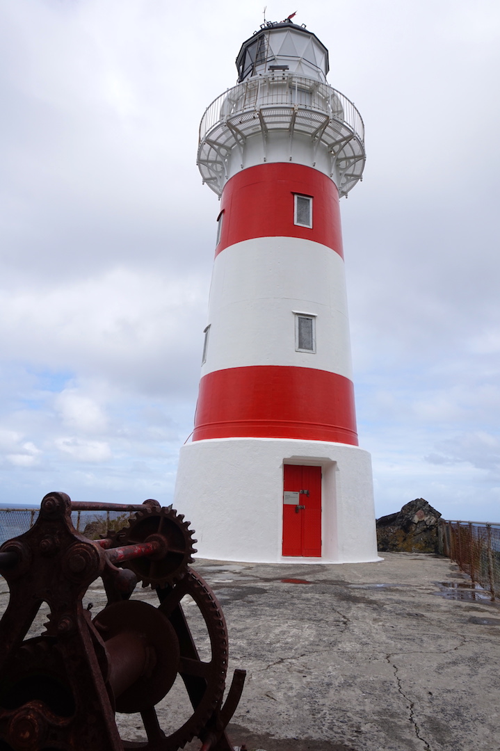 Sur la route de Cap Palliser4