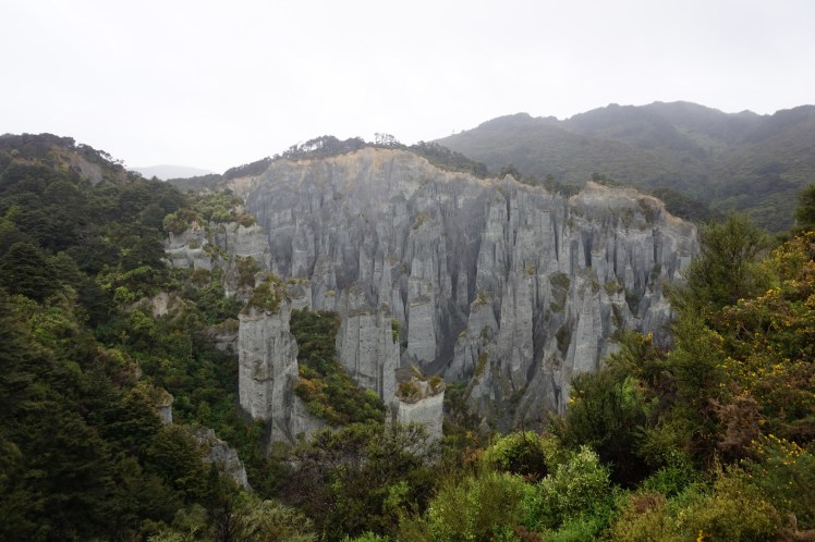 Sur la route de Cap Palliser41