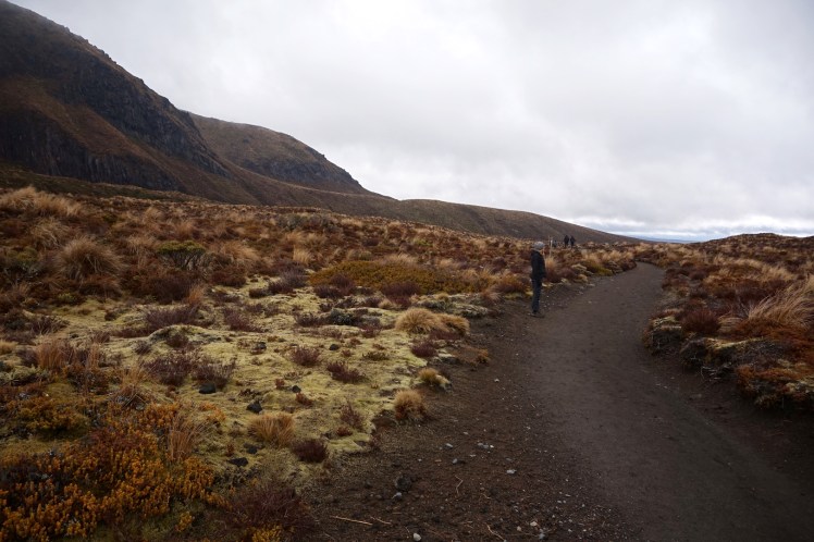 Tongariro4
