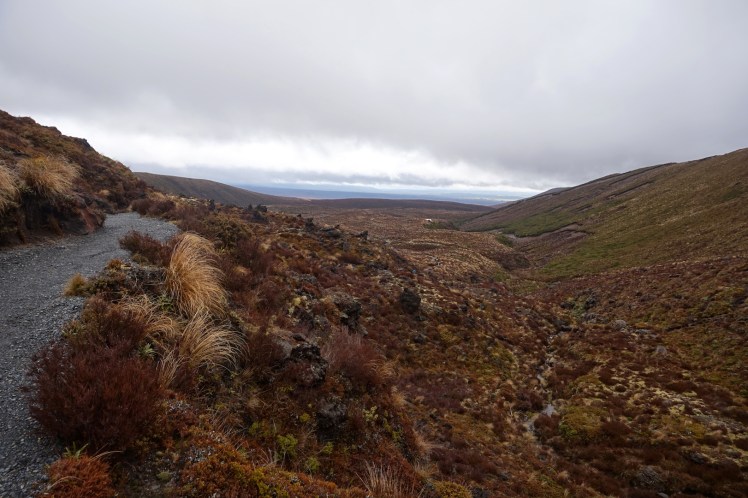 Tongariro7