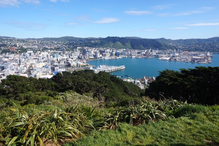 Wellington15