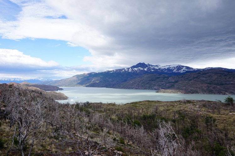 Torres del Paine107