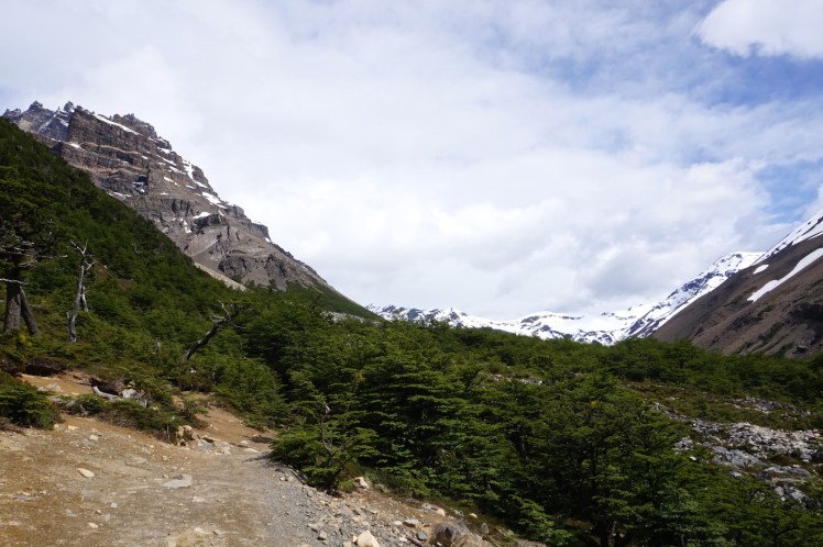 Torres del Paine7