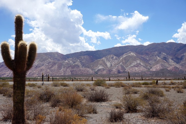 Salta et ses environs115