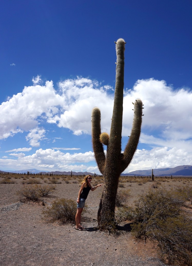 Salta et ses environs117