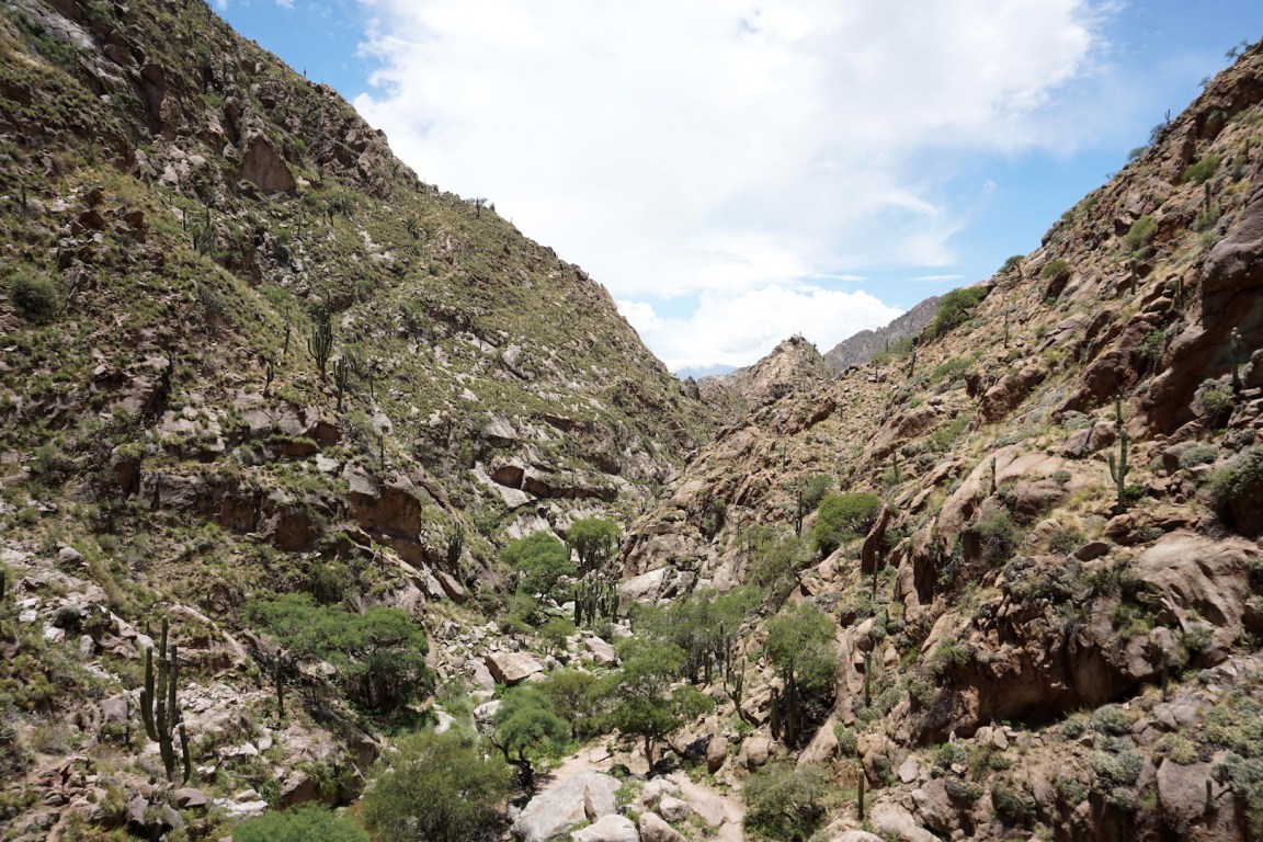 Salta et ses environs42