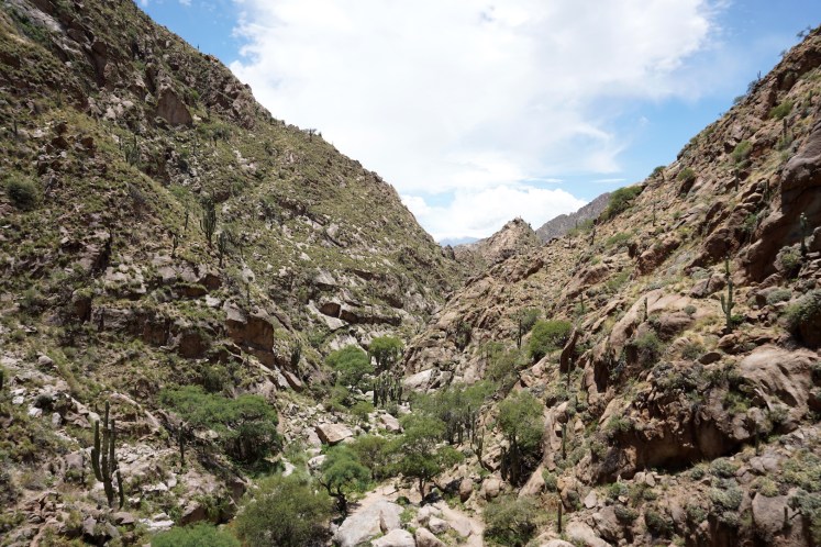 Salta et ses environs42