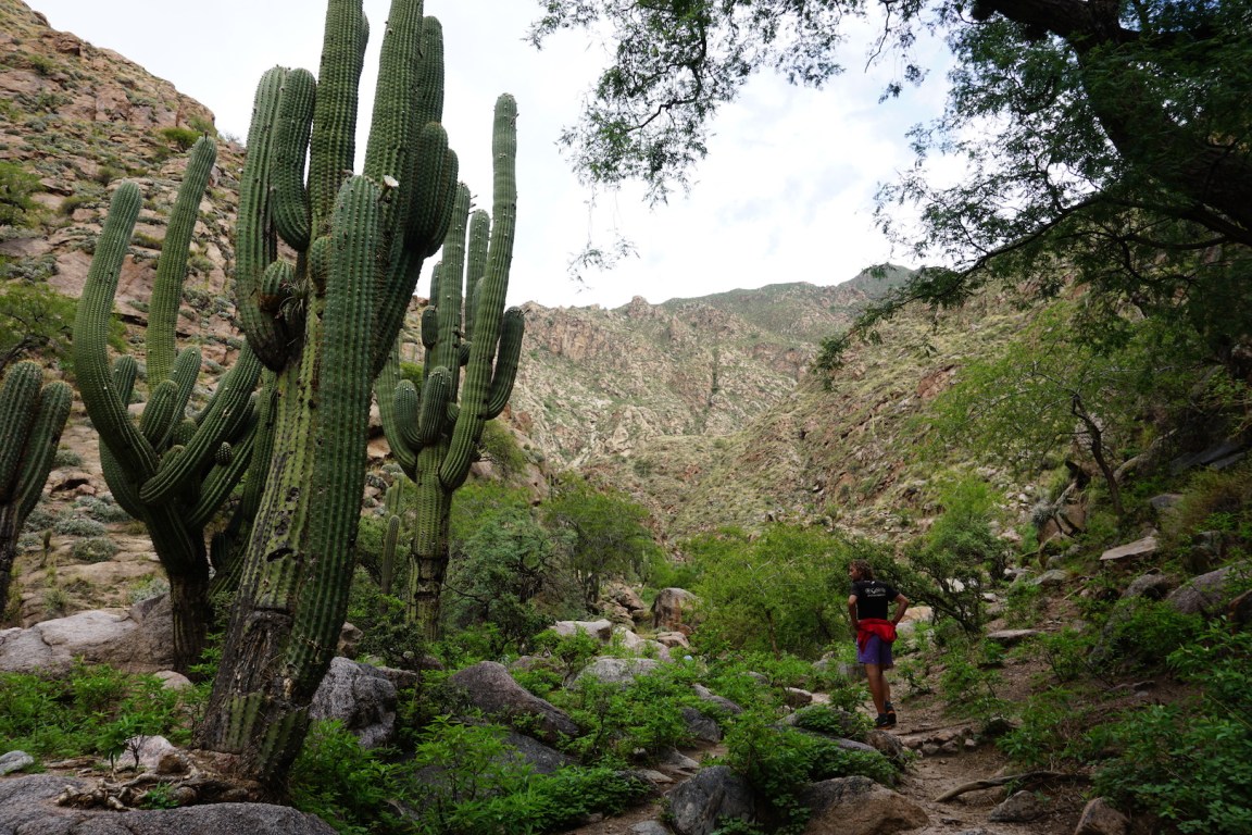 Salta et ses environs52
