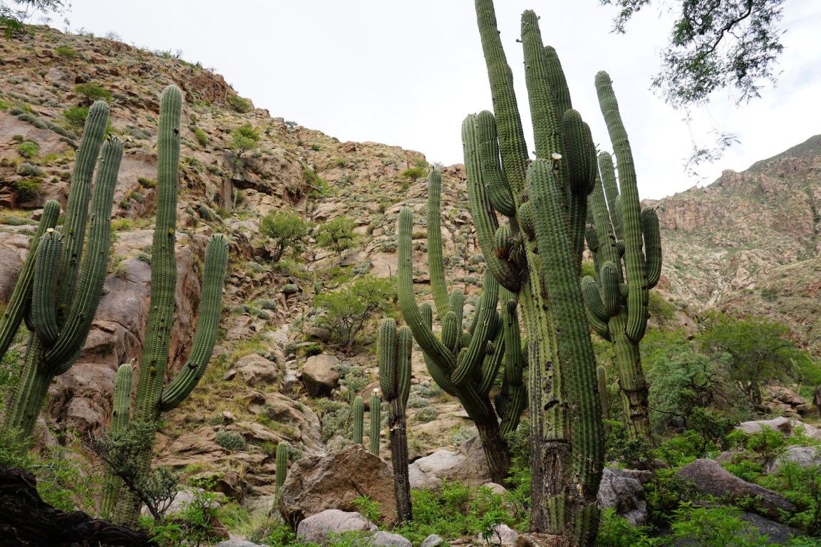 Salta et ses environs53