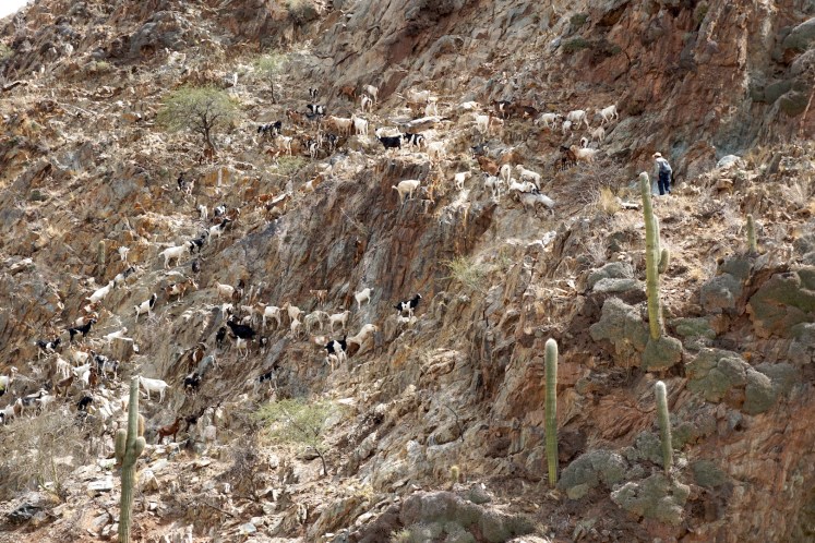 Salta et ses environs93