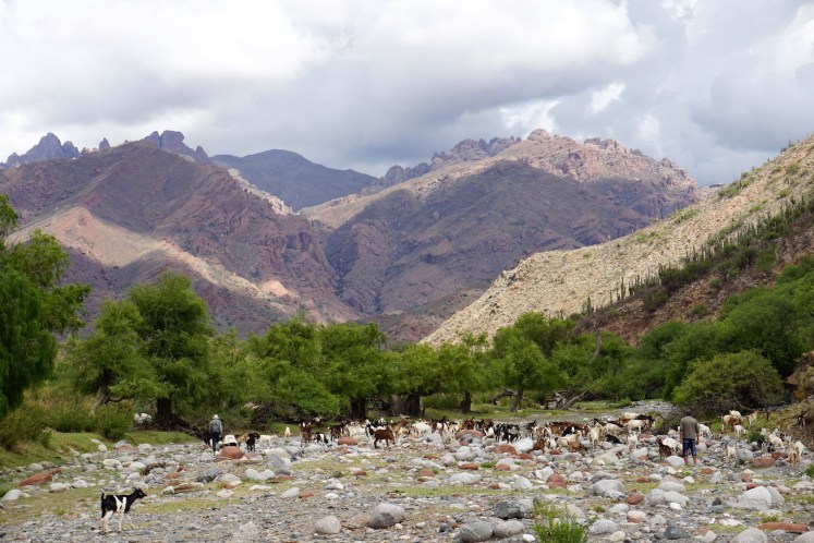 Salta et ses environs96