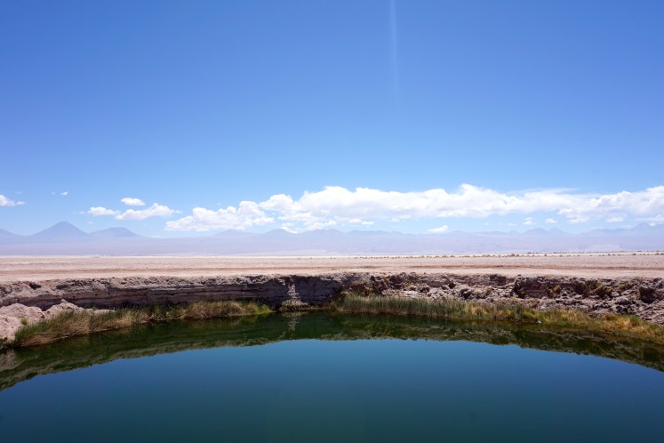 San Pedro de Atacama43